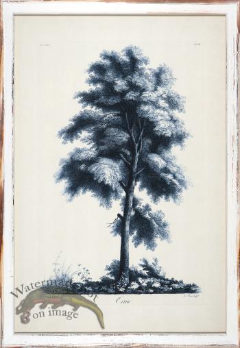 Blue Trees in Distressed White 03